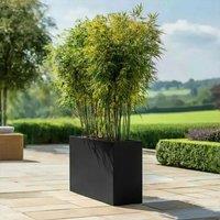 Woven Wood 100cm Long Zinc Matte Black 80cm Tall Trough Planter