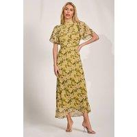 Jolie Moi Women's High Neck Angel Sleeve Chiffon Maxi Dress in Yellow | Size: 16