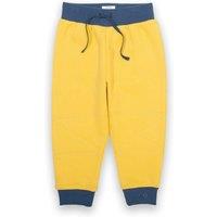 Kite Boy's Cross Patch Joggers in Yellow | Size: 3-6 m
