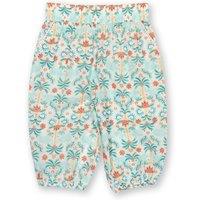 Kite Girl's Ele Oasis Pull Ups | Size: 6 Years