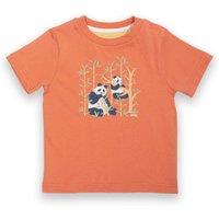 Kite Boy's Panda Pals T-Shirt in Terracotta | Size: 3-6 m