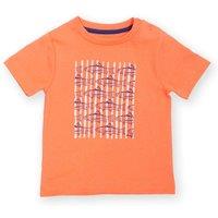 Kite Boy's Trout & About T-Shirt in Orange | Size: 9-12 m