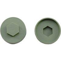 JCP CONSTRUCTION PRODUCTS Moorland Green Cover Caps 16mm - Box of 1000