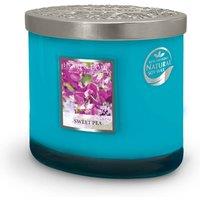 Heart and Home Twin Wick Ellipse Soy Wax Candle - Sweet Pea in Aqua