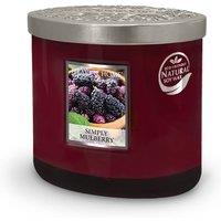 Heart and Home Twin Wick Ellipse Soy Wax Candle - Simply Mulberry in Burgundy