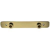 Nes Home Brushed Brass Wall Easy Fixing Plate Kit for Bar Shower Valves in Gold