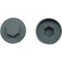 JCP CONSTRUCTION PRODUCTS Merlin Grey Cover Caps 16mm - Box of 1000 in Dark Grey