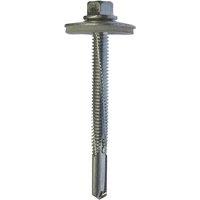JCP CONSTRUCTION PRODUCTS Self-Drilling Screws 5.5 x 22mm - Box of 100 in Silver