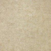Arthouse Luxury Plain Champagne Wallpaper in Beige