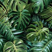 Arthouse Living Wall Wallpaper in Dark Green