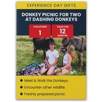 Activity Superstore Donkey Picnic for Two at Dashing Donkeys Gift Experience