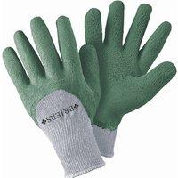 Primrose 6 Pairs Thermal Extra Grip Gardening Gloves Latex All Purpose Sage Green Medium in Light Green