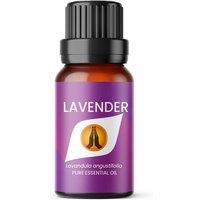 Aroma Energy Lavender Pure Essential Oil 10ml in Purple | Size: 5 Pack