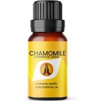 Aroma Energy Chamomile Dilute Essential Oil 10ml in Clear | Size: 5 Pack