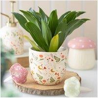 KDMD Fairy Folklore Print Plant Pot in Cream