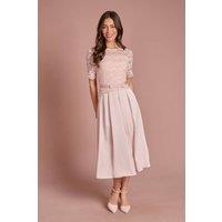 Coast Women's Lace & Crepe Full Skirted Midi Dress in Blush | Size: 10