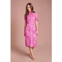 Coast Women's Lace Pearl Button Pencil Skirt in Pink | Size: 16
