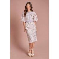 Coast Women's Printed Lace Puff Sleeve Pencil Dress in Lilac | Size: 12