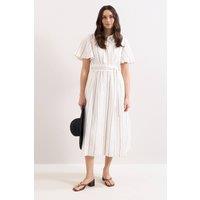 Phase Eight Women's Marielle Striped Shirt Dress in Natural White | Size: 14