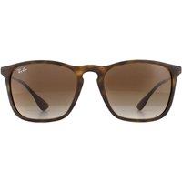 Ray-Ban Men's Cat Eye Rubber Havana Gradient Brown Chris 4187 Sunglasses