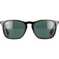 Ray-Ban Men's Round Tortoise & Gunmetal Green Sunglasses in Brown