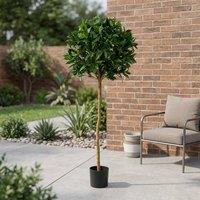 Garden Greatness Lush Green Sweet Bay Ball Potted Tree