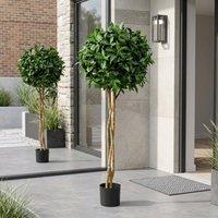 Garden Greatness Evergreen Laurel Ball Potted Tree in Green