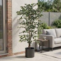 Garden Greatness Realistic Variegated Ficus Potted Tree