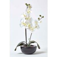 Homescapes Luxury Artificial Orchid in Black Bowl, 54 cm in Cream