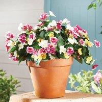 Gainsborough Set of 3 Artificial Pansy Picks in Purple, Yellow & White, 32cm
