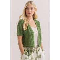 Klass. Women's Short Sleeve Cropped Pointelle Cotton Cardigan in Khaki | Size: Medium