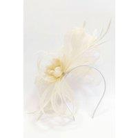 CY Women's Feather & Floral Fascinator Headband in Cream
