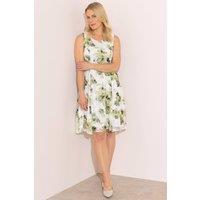 Anna Rose Women's Printed Jacquard Midi Dress in Olive | Size: 18