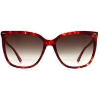 CALVIN KLEIN Women's Butterfly Burgundy Havana Brown Gradient CK22532S