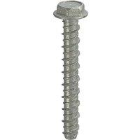 Thunderbolts All-Purpose Anchors M6 x 75 - Hexagon Flange Head - Box of 100 in Silver