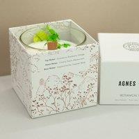Serenityy Agnes + Cat Fellberry Botanical Soy Wax Candle 350g in Clear | Size: 361g