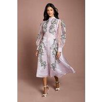 Coast Women's Petite Placement Embroidered Long Sleeve Midi Dress in Blush | Size: 10