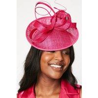 Coast Women's Side Facing Structured Fascinator in Berry