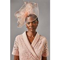 Coast Women's Structured Mesh Bow Flat Fascinator in Blush