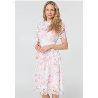 Izabel London Women's Lace Short Sleeve Knee Length Dress in Pink | Size: 12