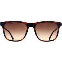 Lacoste Men's Rectangle Havana Brown Gradient L6041S