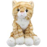 Wilberry Cat (Ginger) - Favourites