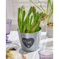 Dibor Vintage Zinc Love Heart Flower Indoor Outdoor Garden Planter Pot (H) 14cm, (Dia)15.5cm in Grey