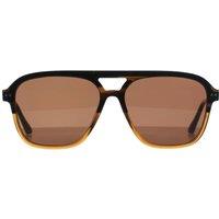 Ted Baker Men's Aviator Brown Horn Gradient Brown TB8259