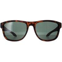 O'Neill Men's Oval Matte Tortoise Green Polarized Coast in Brown