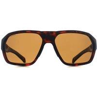 Smith Men's Wrap Matte Havana Gold Chromapop Polarized Brown Deckboss