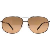 Serengeti Men's Aviator Shiny Gunmetal Saturn Polarized Drivers Sassari 2.0 in Grey