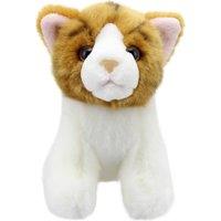 Wilberry Cat (Gold Stripe) - Minis