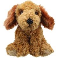 Wilberry Cockapoo (Golden) - Favourites