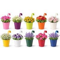 simpa Bright Colourful Metal Hanging Balcony Pots - Set of 10